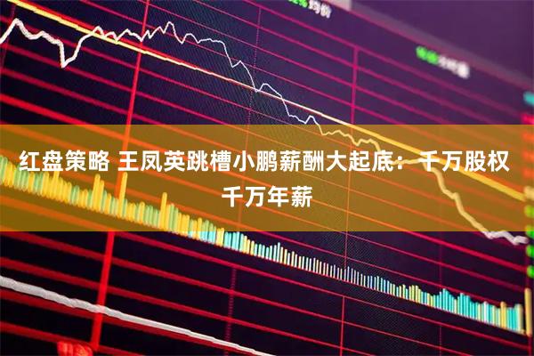 红盘策略 王凤英跳槽小鹏薪酬大起底：千万股权 千万年薪