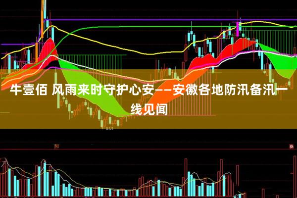 牛壹佰 风雨来时守护心安——安徽各地防汛备汛一线见闻