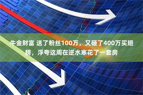 牛金财富 送了粉丝100万,又砸了400万买翅膀,浮夸这周在逆水寒花了一套房