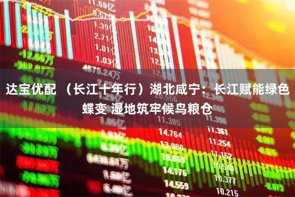 达宝优配 （长江十年行）湖北咸宁：长江赋能绿色蝶变 湿地筑牢候鸟粮仓