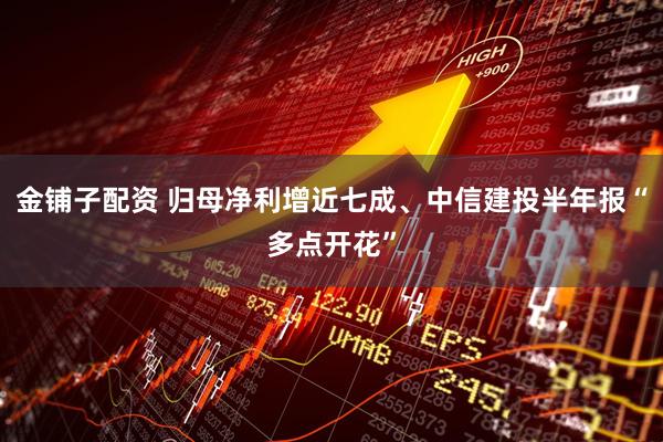 金铺子配资 归母净利增近七成、中信建投半年报“多点开花”